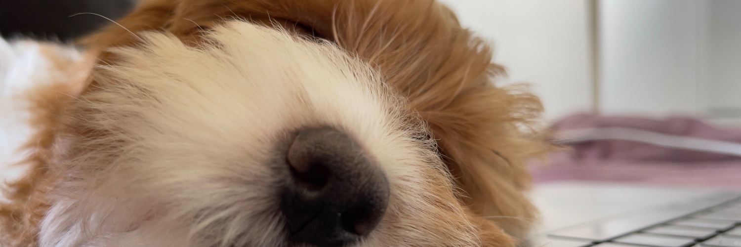 justinpledger's profile banner image