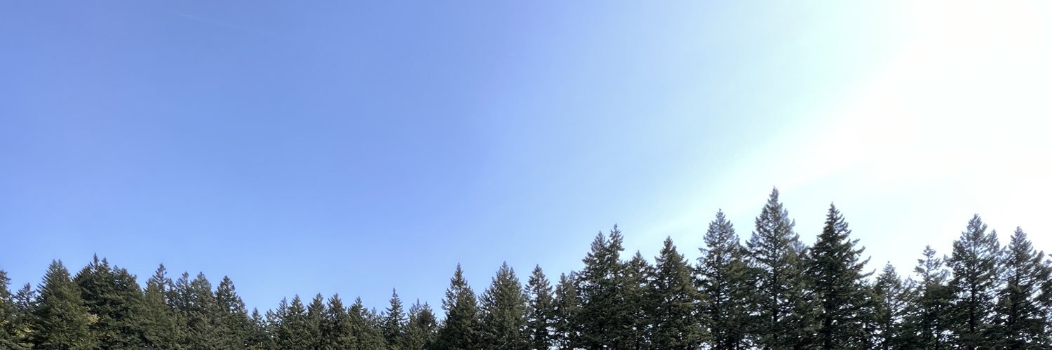 ComplainrHater's profile banner image