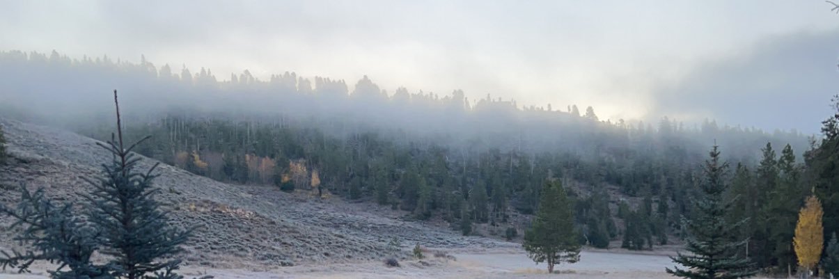 lemman6's profile banner image