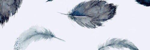 ro_rodhe's profile banner image
