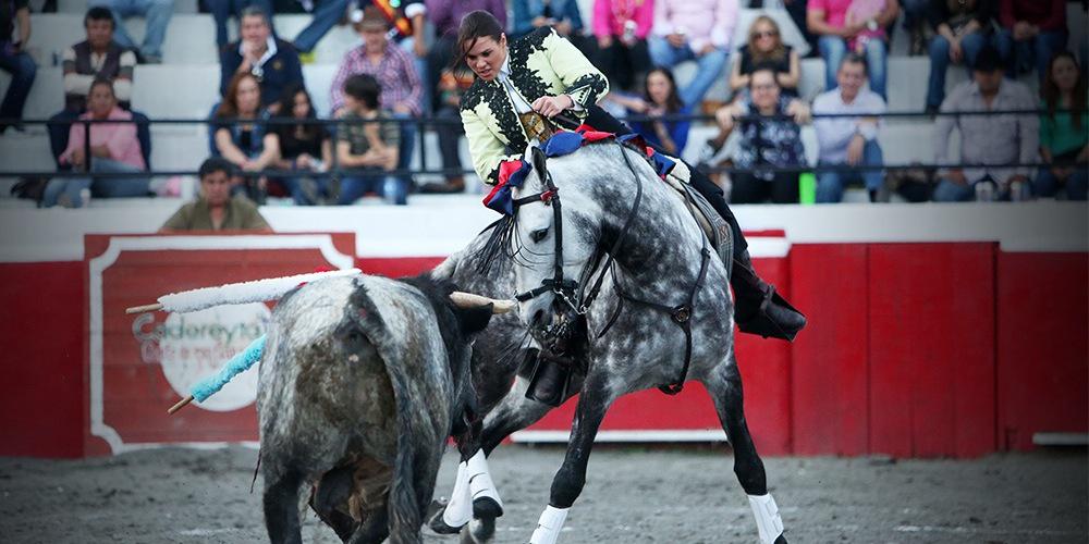 MonRejoneadora's profile banner image