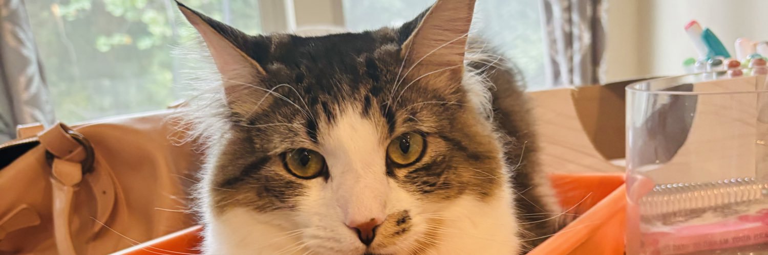 LLaws29's profile banner image