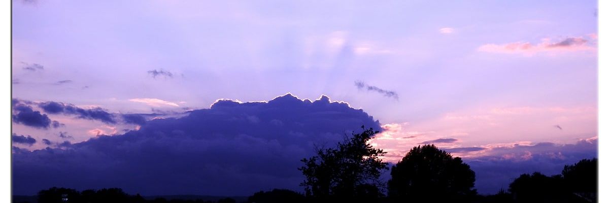 EdgarIngrid's profile banner image