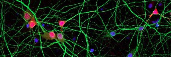 MpiBrain Profile Banner