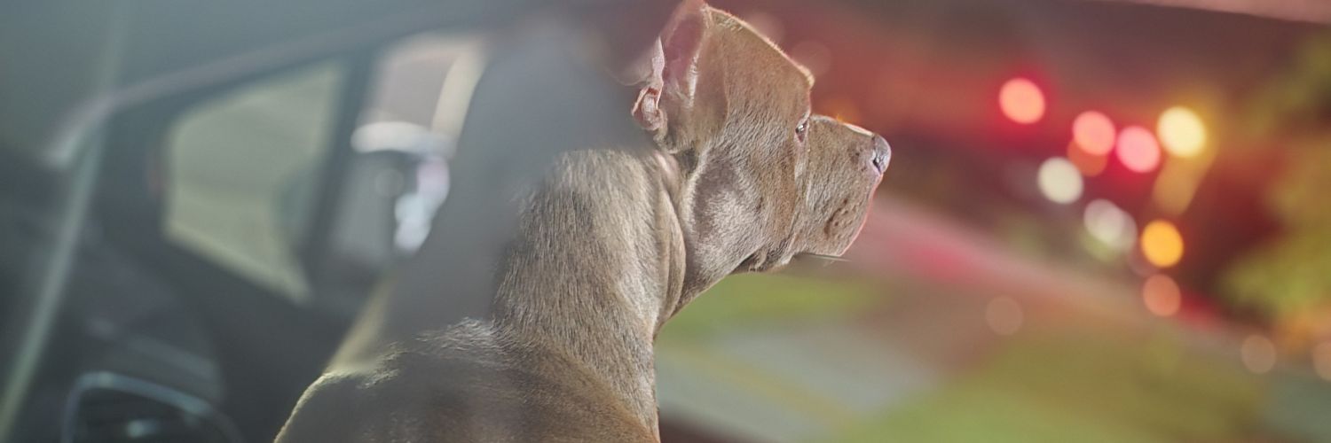 chsimpression's profile banner image