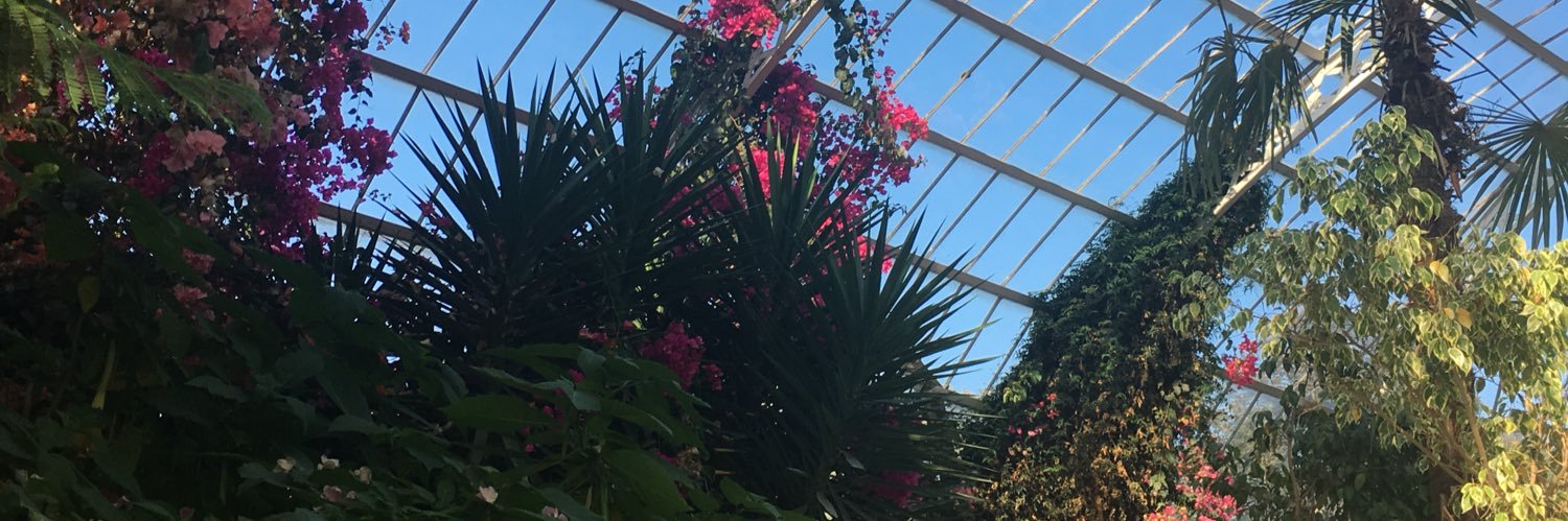 shaunakeown_'s profile banner image
