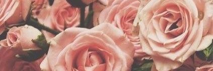 Kate_rpp's profile banner image