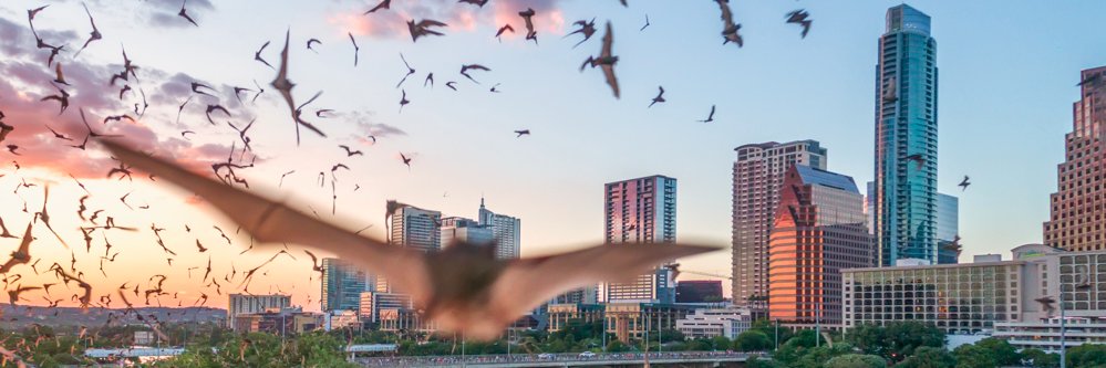 Christopher V. Sherman banner