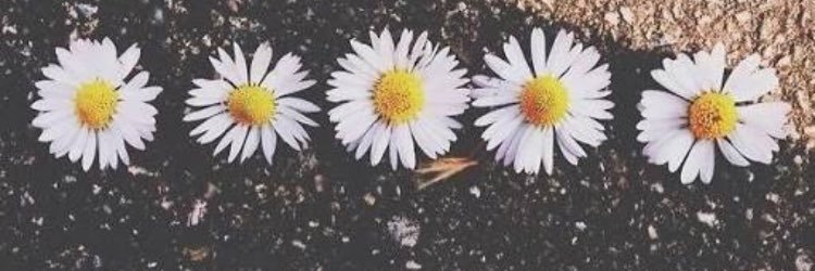 justtrueIove's profile banner image
