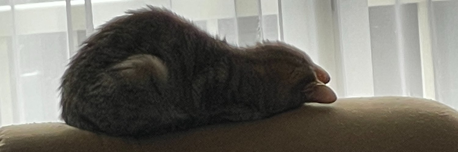 ChappyRoom's profile banner image