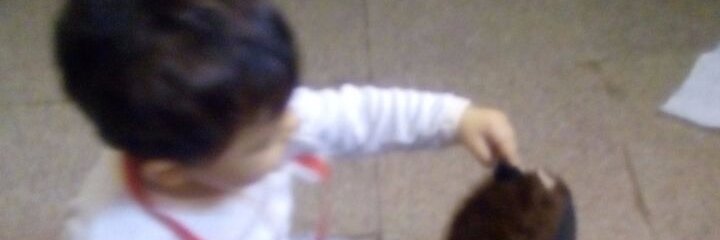 noe_487's profile banner image