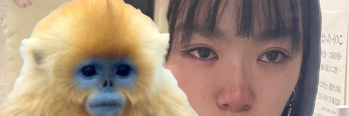yunbopigs2000's profile banner image