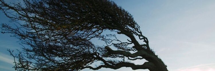 geriyesay's profile banner image