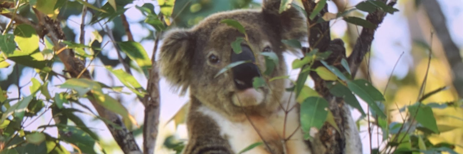 erinmasters's profile banner image