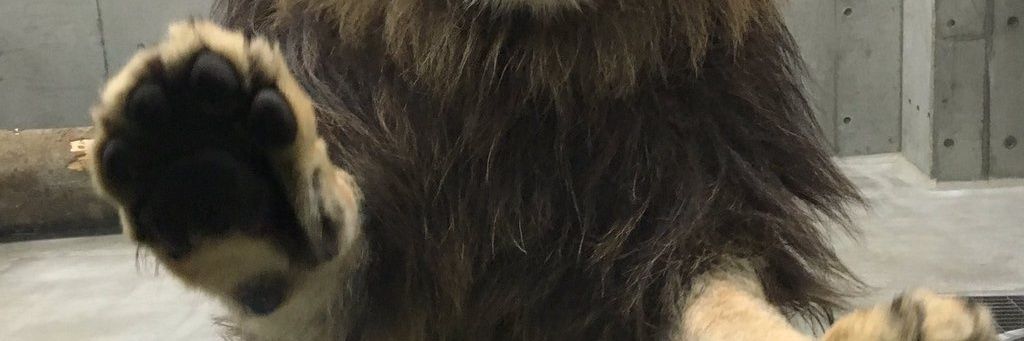 Mrowl banner