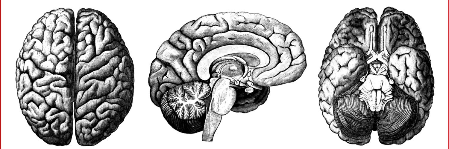 MUPsychSoc's profile banner image