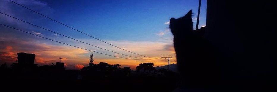 Tata_PR97's profile banner image
