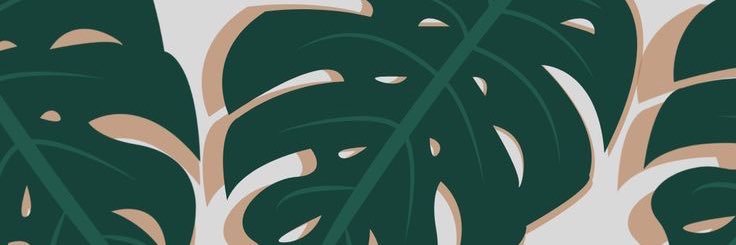 sheirellosa's profile banner image