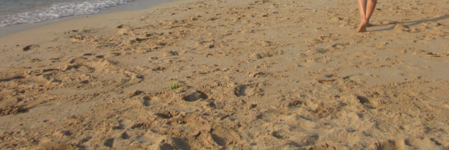CastelSharan's profile banner image
