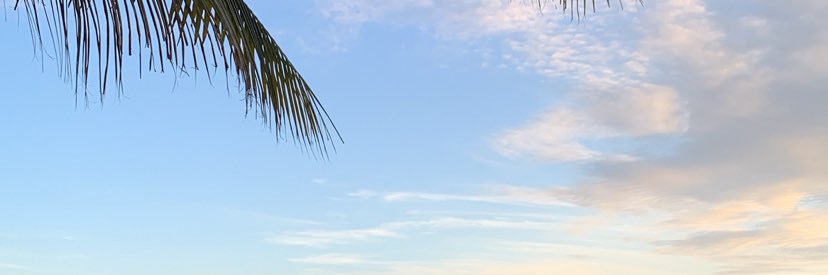 Manurdrigues's profile banner image