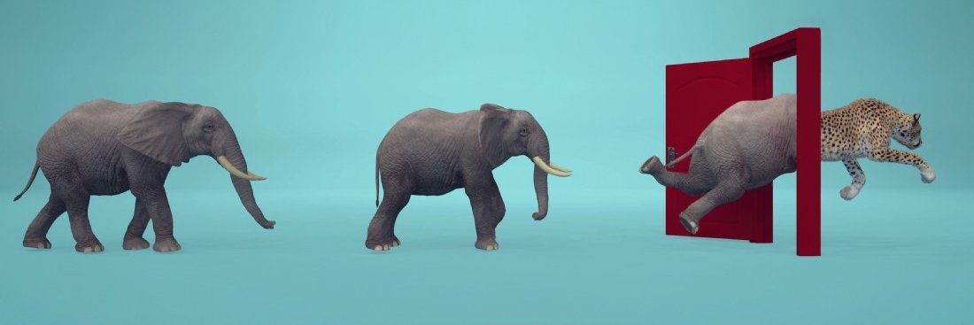 tjtallfr's profile banner image