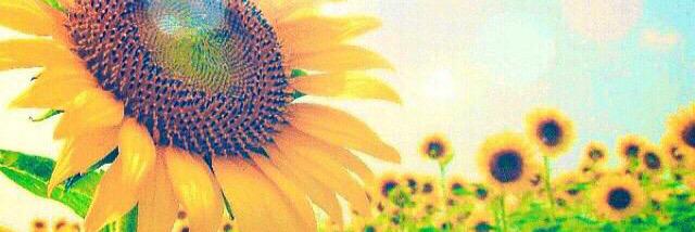 okaka_dik's profile banner image