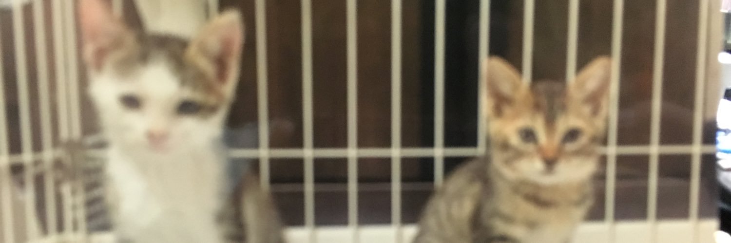 zzzzo96's profile banner image