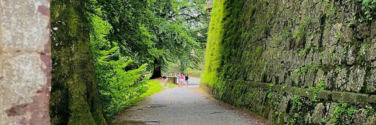 ungarsrandom ⚜️⭐️⭐️⚜️ banner