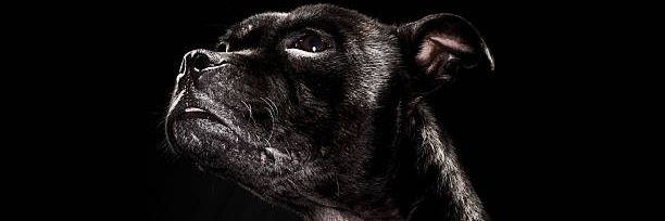 MathabaMT's profile banner image