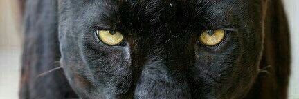 Davidsm19's profile banner image