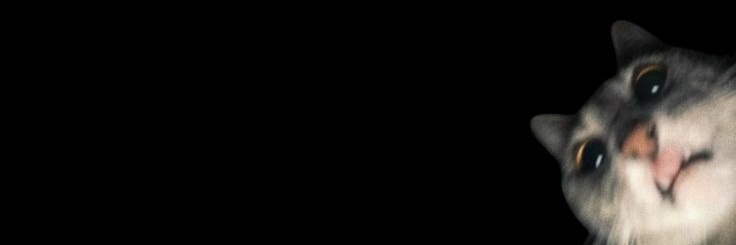 whykekel's profile banner image
