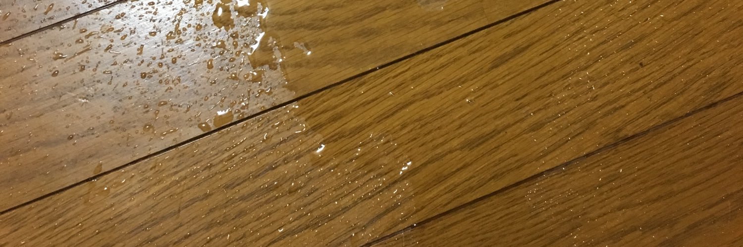 kowtdmmjtp's profile banner image