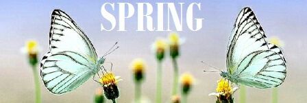 krippa2014's profile banner image