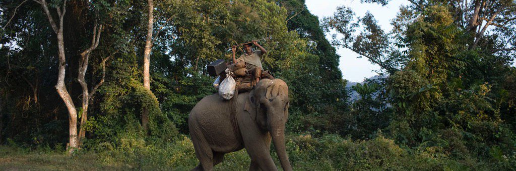 Findlay Kember banner