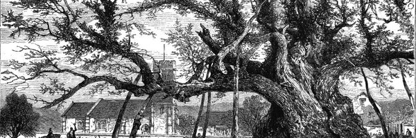 pghoskin Profile Banner