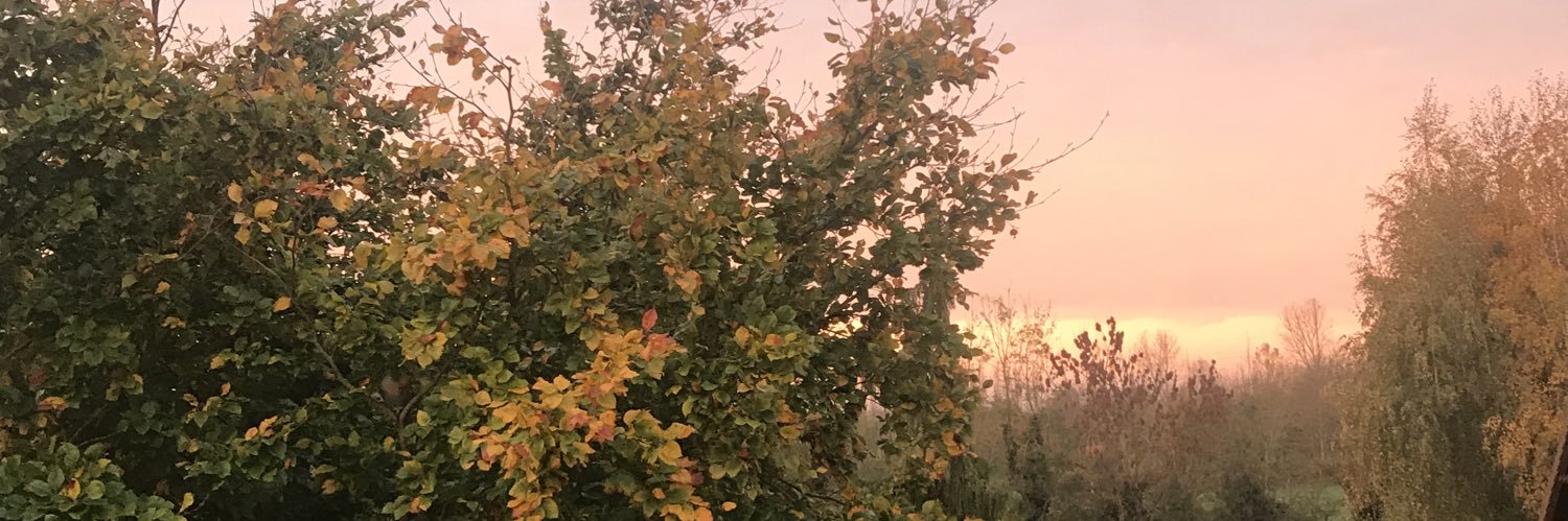 albaneverdin's profile banner image