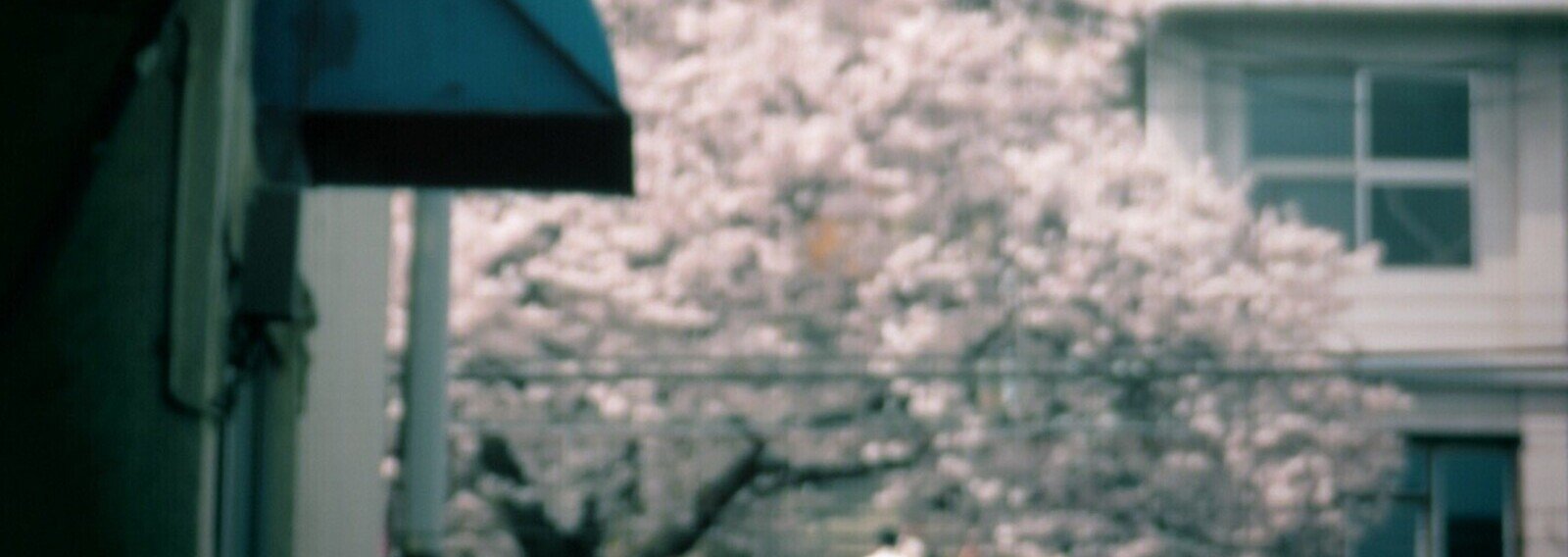 beasanson's profile banner image