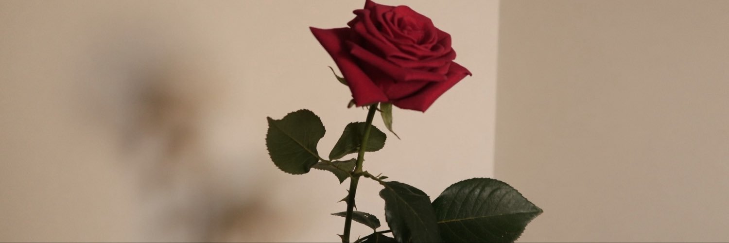 ● banner