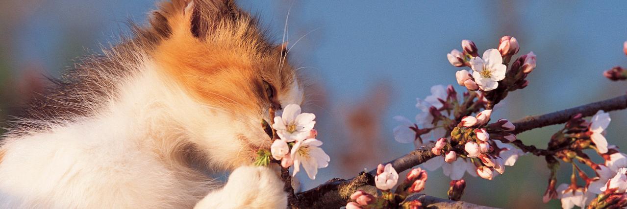 hide_chan1017's profile banner image