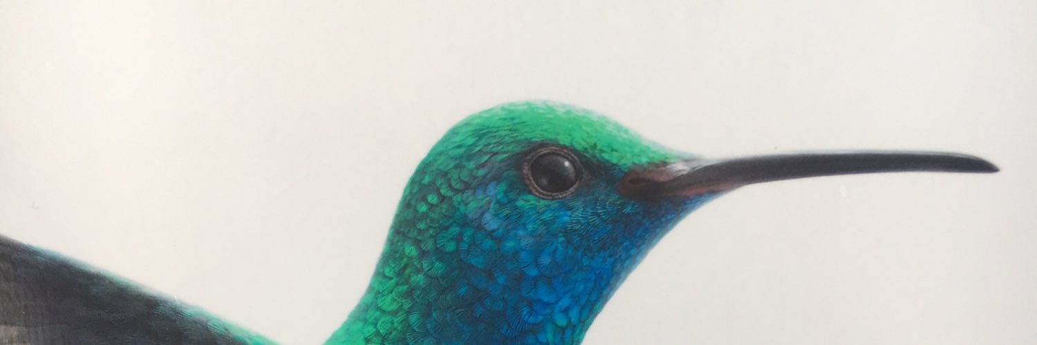 anninnwhite's profile banner image