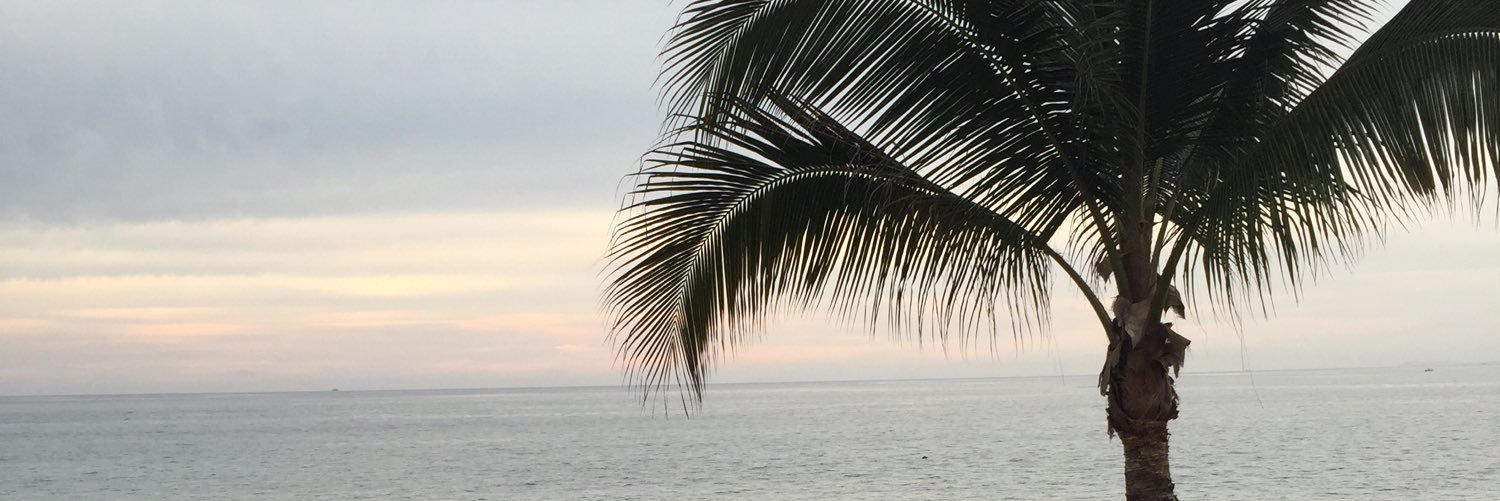 karinabarzza's profile banner image