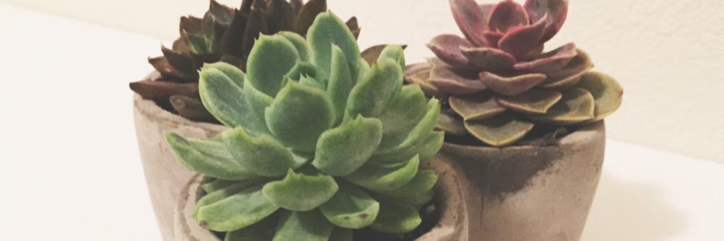 nataliahartanto's profile banner image