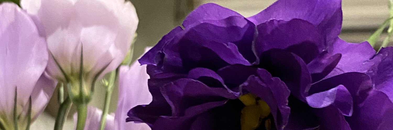 cajadenubes's profile banner image