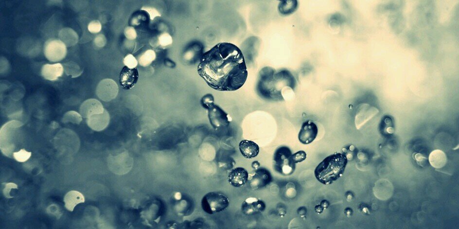 Rocky Dujunco banner