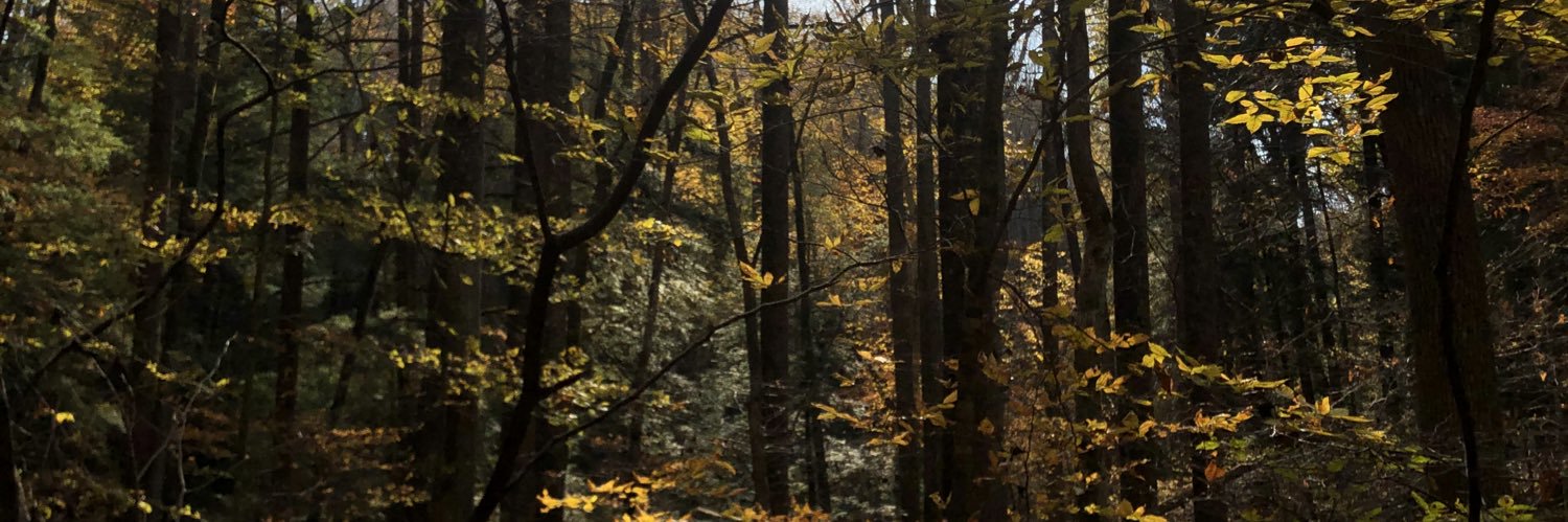 MegsMyLegs_'s profile banner image
