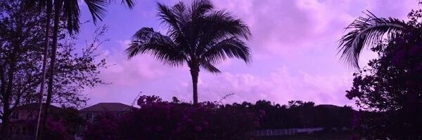 pankhurts's profile banner image