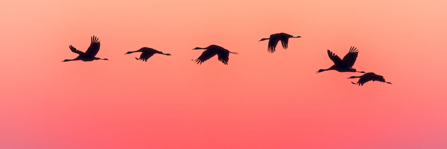 agnazel's profile banner image