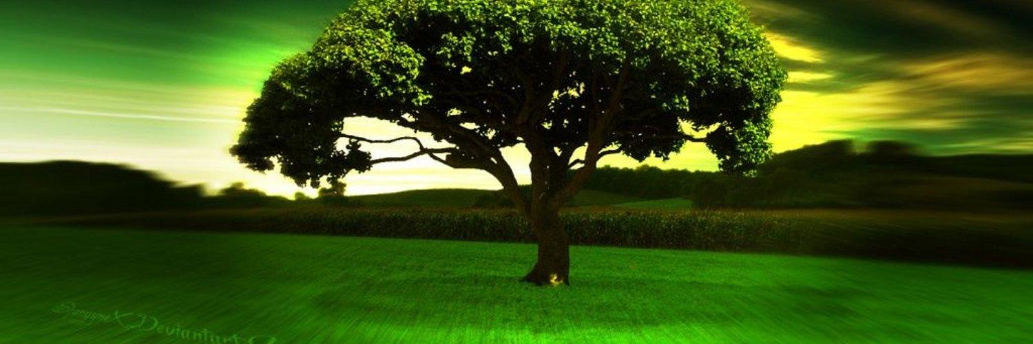 ENCUENTRONEW's profile banner image