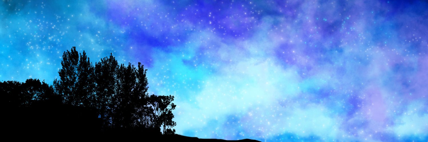 b_stretchman's profile banner image