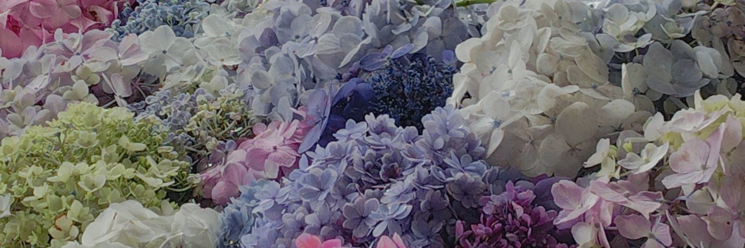 0412booky's profile banner image